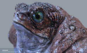 mudbox2009realtime.jpg